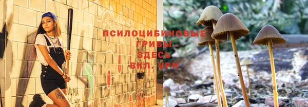 прущие крисы Абдулино