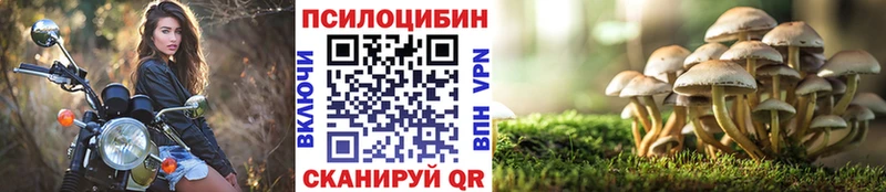 Псилоцибиновые грибы Psilocybine cubensis  закладки  Фокино 