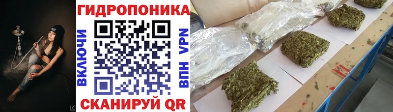 Шишки марихуана White Widow  Фокино 